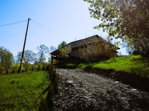 Lake House Anemona
